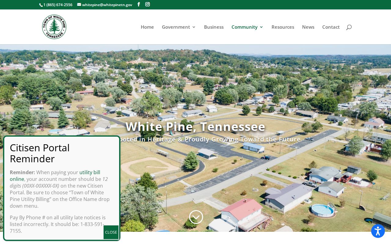 White Pine court docket town community history source